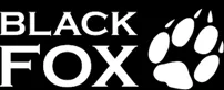 ремонт Black Fox