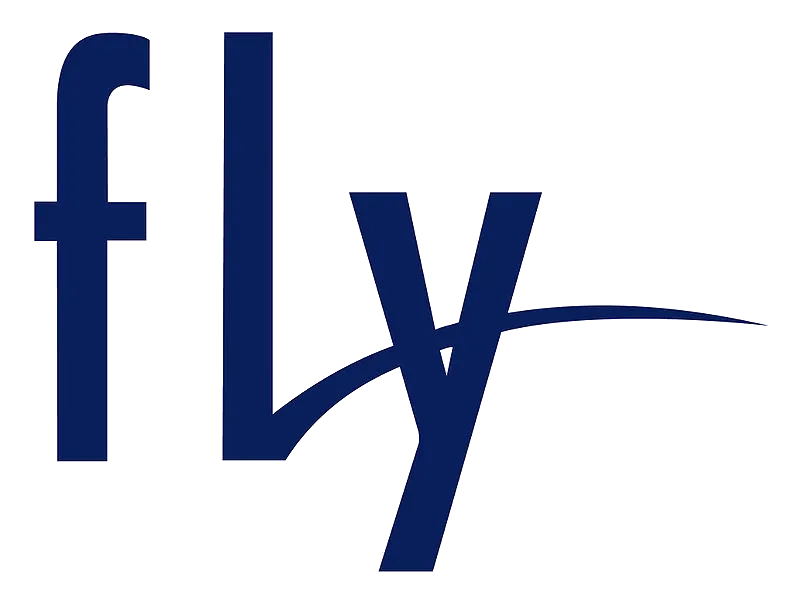 ремонт Fly